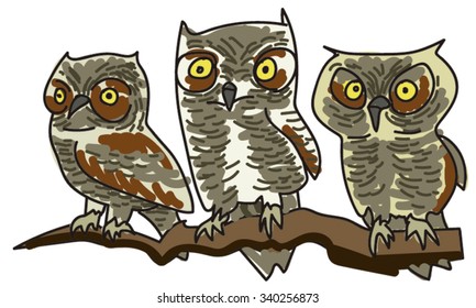 Three Owls on a Branch