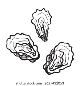 Três conchas de ostras em textura de pincelada preta isolada em branco. Ilustração de esboço de vetor desenhado à mão em tinta de carvão vegetal. Design francês de frutos do mar, dieta mediterrânea, comida exótica