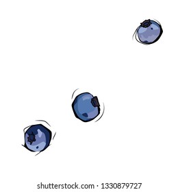 Three painted blueberries scattered on a white background