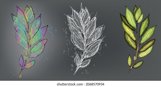 Tres ramas pintadas sobre un fondo gris. Ramas de diferentes estilos, acuarela, lápiz, dibujos animados.
Vector de diseño.