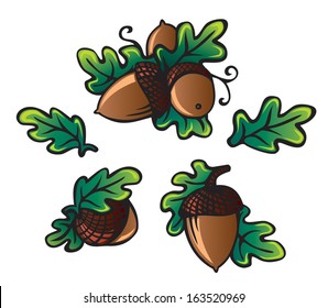 three painted vector acorns set with leafs, colorful stylize 