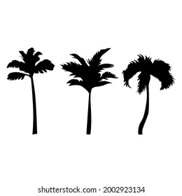 three palm tree or coconut tree sihouette  illustration