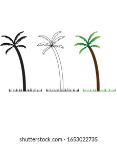 tres palmeras aisladas en fondo blanco, ilustración vectorial