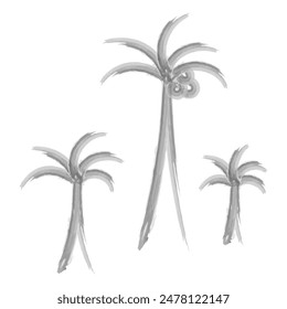 Three palm trees with coconuts. Coconuts on the top of the head, among the leaves. Sketch. Hand drawn watercolor drawing. Set of vector illustrations. Outline on isolated white background. 