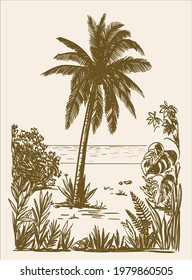 three palm trees grow on a wild beach. vector sketch on white background