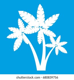 Three palm trees icon white isolated on blue background vector illustration