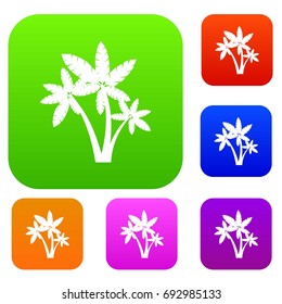 Three palm trees set icon in different colors isolated vector illustration. Premium collection