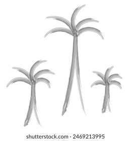 Three palm trees. Sketch. Hand drawn watercolor drawing. Set of vector illustrations. Outline on isolated white background. Doodle style. Palm tree. Ever green tropical tree. An exotic plant 