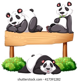 Three pandas and wooden sign illustration