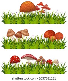 Three patterns of mushrooms and grass illustration