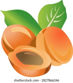 Three peaches with leaves. Color image of food. Vector illustration isolated on white background.