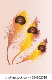 Three peacock feather. Decorative style.