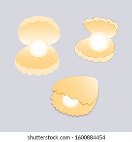 Three pearls in a shell in pastel colors. Bright beige picture on a blue background. Illustration, vector, design.
