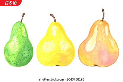 Three pears, green, yellow and orange isolated on white, side view. Fruit set, vector illustrations, for textiles, menus, advertising, website, T-shirts. Grouped and in different layers.