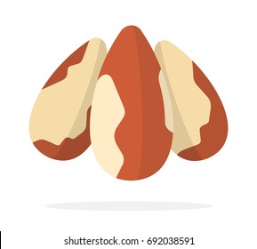 Three peeled brazil nuts vertically vector flat material design isolated on white