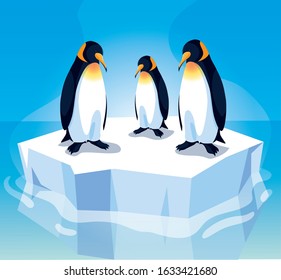 three penguin on an ice floe drifting vector illustration design