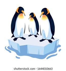 three penguin on an ice floe drifting vector illustration design