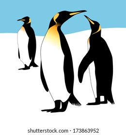 Three penguins