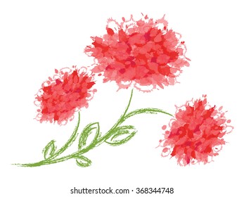 Three peonies on white background. Vector illustration. 