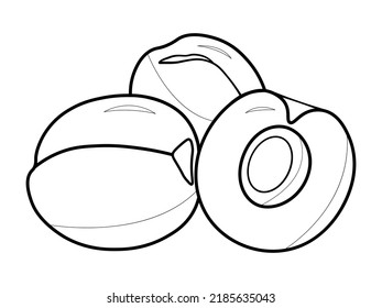 three peppers with seeds in outline style on a white background	