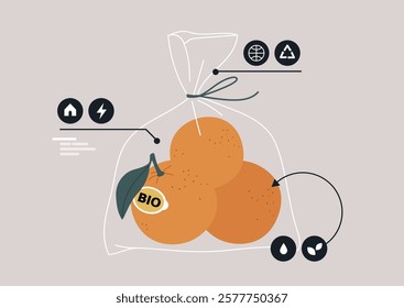 Three perfectly ripe oranges are showcased in a transparent plastic bag, symbolizing sustainability and delightful flavors of nature, inviting health-conscious choices for consumers