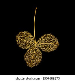 Three petals of clover in a gold frame