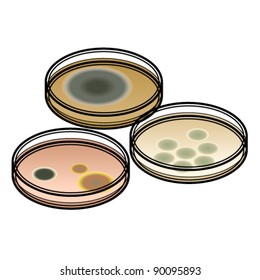 Three petri dishes with microbes growing on them.