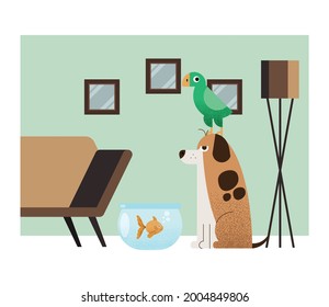 three pets in house scene