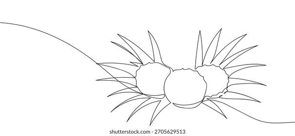 Three pieces of pineapple are placed on a pineapple leaf in one continuous line. one line vector illustartion.