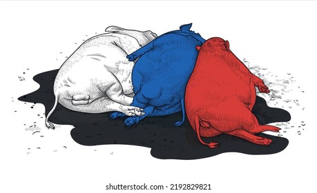 Drei Schweine in Weiß, Blau und Rot, die an die Flagge des russischen Bundes erinnern, liegen in einem schwarzen Pfützer, der Öl ähnelt. Vektorgrafik. Dirty Life Konzept. Humor, Satire, Karikatur.