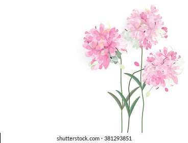 three pink flowers circle bouquet on white background,vector illustration