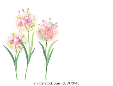 three pink flowers circle bouquet on white background,vector illustration