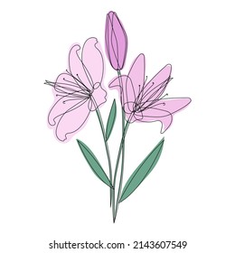 Three pink lilies on a white background. Bouquet of flowers for decor and design