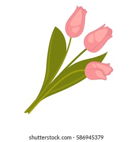 Three pink tulip flowers bouquet with green leaves. Vector illustration of symbolic spring flowers isolated on white. Icon in flat style of romantic spring flower present for women and girls