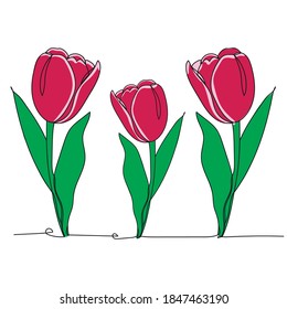 Three pink tulips. One line drawing.Vector illustration continuous line drawing.