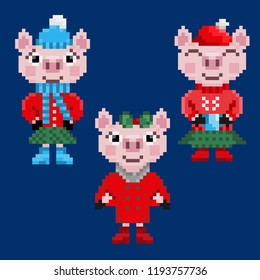 Three pixel christmas pigs in warm clothes isolated on blue background.