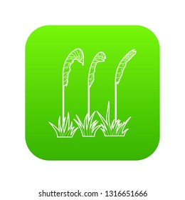 Three plants icon green vector isolated on white background
