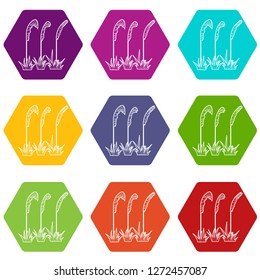 Three plants icons 9 set coloful isolated on white for web