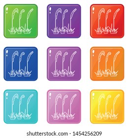 Three plants icons set 9 color collection isolated on white for any design