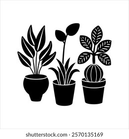 three plants pots vector silhouette design