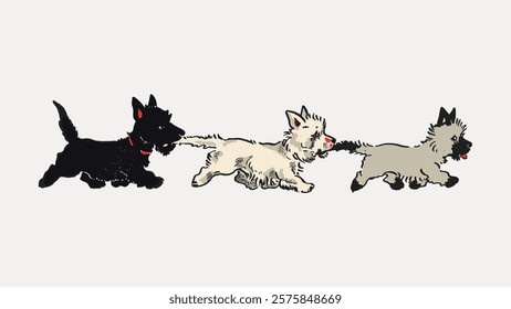 Three playful terriers in a row, each pulling the other's tail. Black, white, and gray terriers in a playful, cartoon style. Terriers in action. Vintage art drawing illustration, painting art vector.