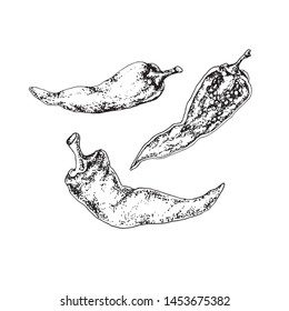 Three pods of hot pepper, drawn on paper by hands, in black and white contour, on a white background. Graphic element for your design project.