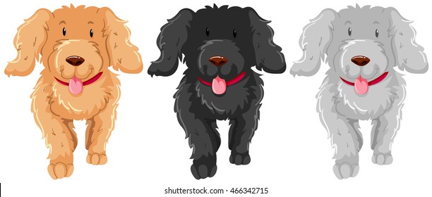 Three poodle dog with happy face illustration