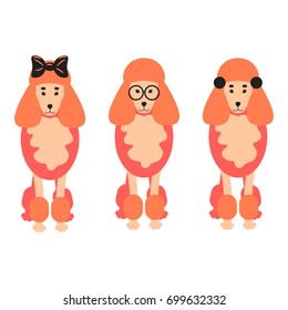 Three poodle dogs vector illustration. Coral red puppies with girly bows and glasses.