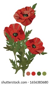 Three poppies with leaves. Red poppies for holiday decoration. All elements are isolated and on a white background. Easy design for greeting. Floral decor for may.