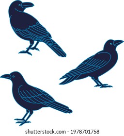 Three poses of a crow line drawing
