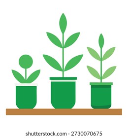 Three potted plants on a shelf with varying growth stages