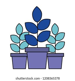 three potted plants on white background