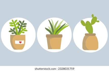 tres macetas con fondo blanco. elementos de estilo minimalista