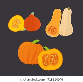 Three pumpkin species - cucurbita maxima, red kuri, butternut squash - vector illustration